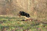 BEAUCERON 1029